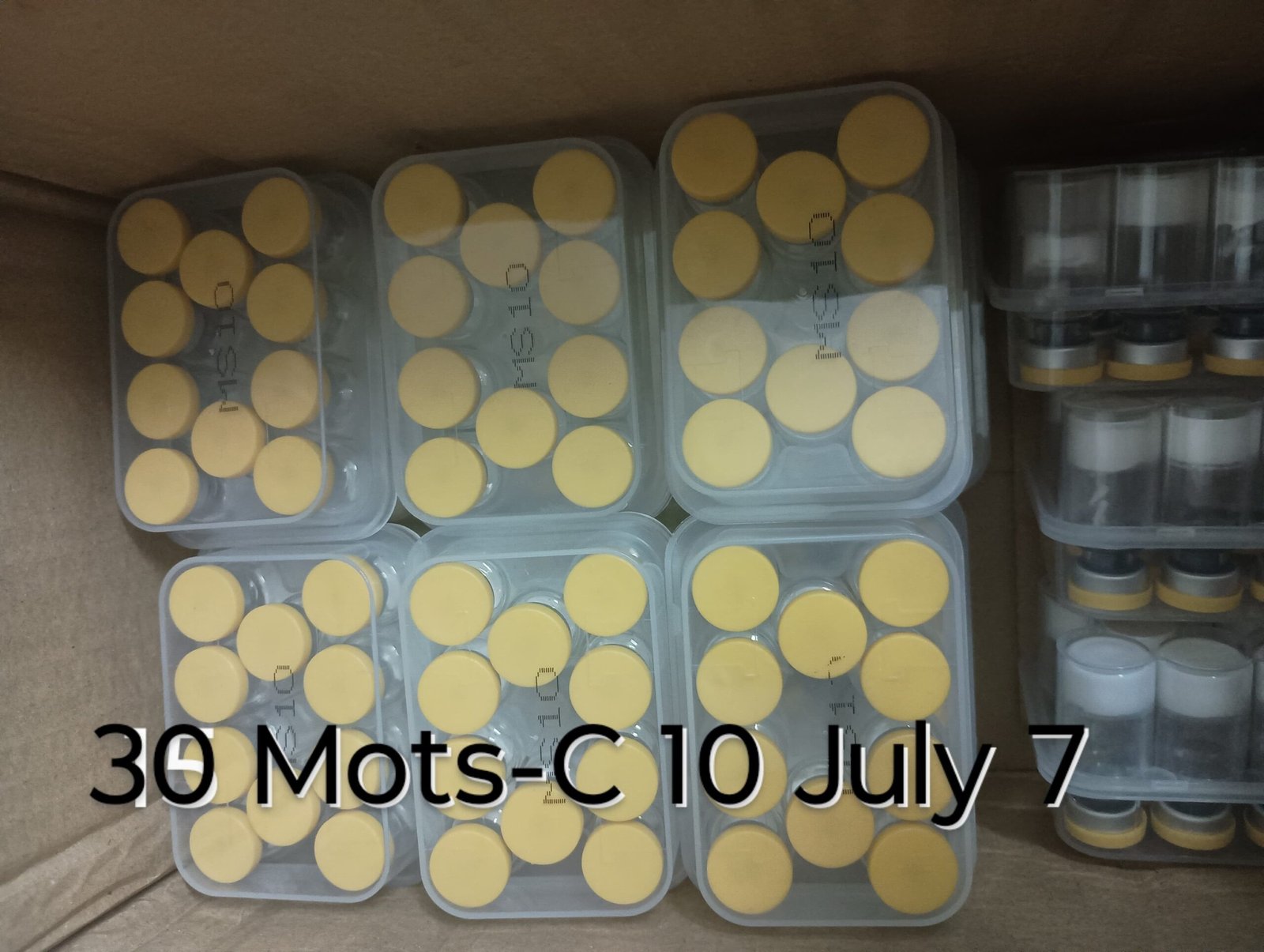 Mots-C Vial/ Kit - Image 4
